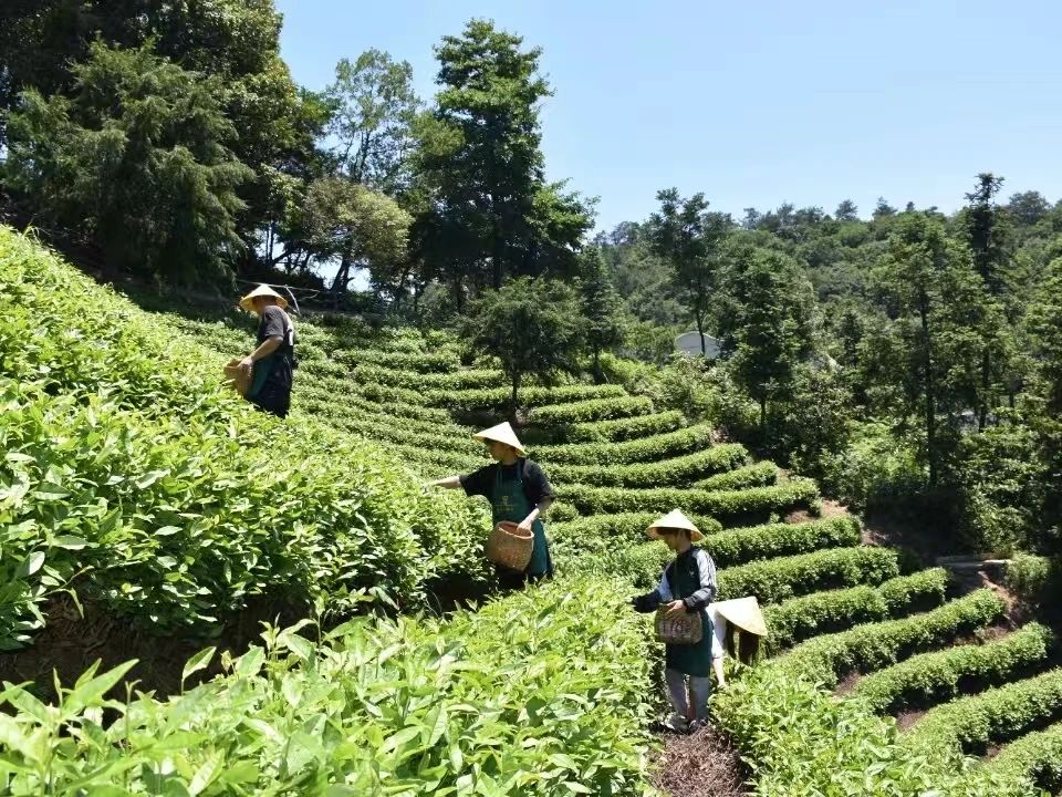 被誉为世界最美旅游乡村