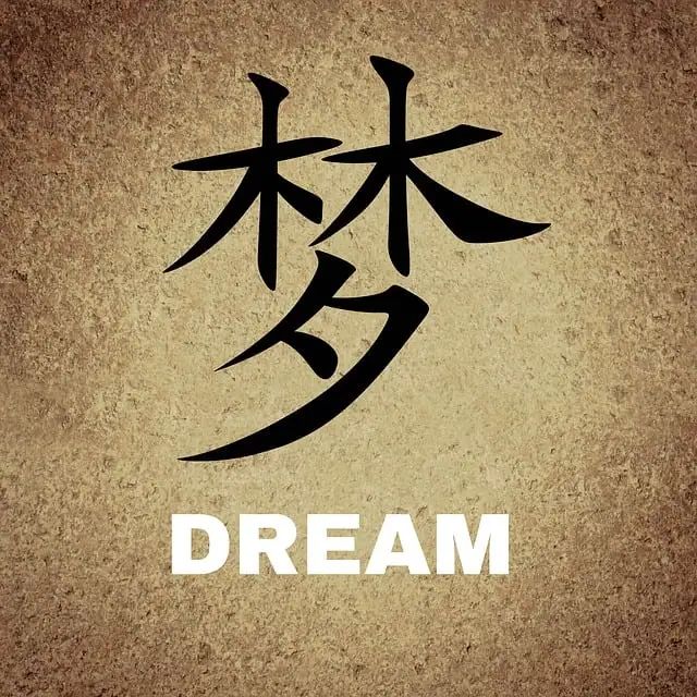 我们看到大家学的不只是汉字