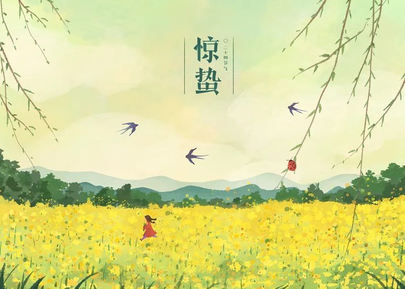 对照阅读斗指丁