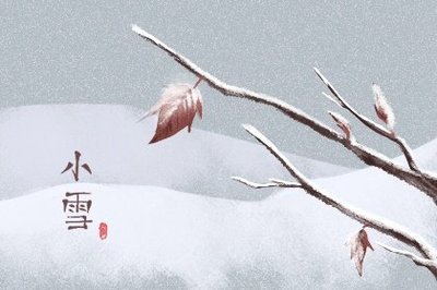 小雪节气的到来