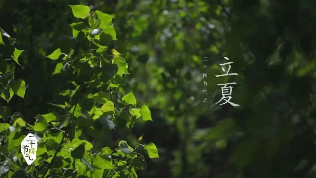交节时间在每年公历5月05-07日