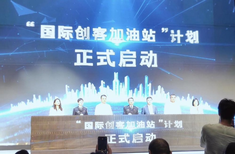 2024年“国际人才助力走出去”临平