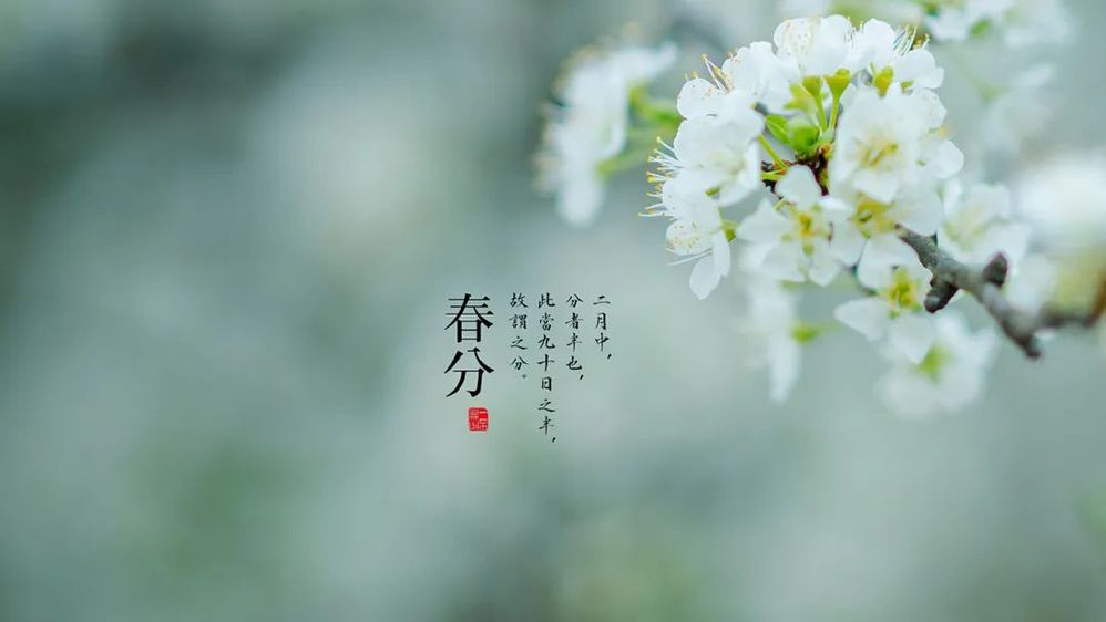 对照阅读通常在每年3月19日至22日