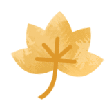 雨季结束