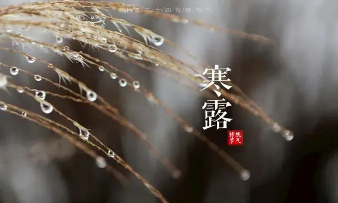 在每年公历10月7日-9日交节