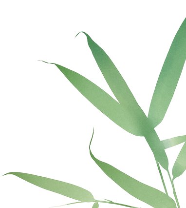 在博物馆中
